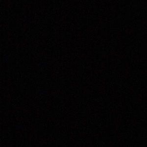 Meet your Posher, Shane